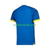 Maillot de Foot Mamelodi Sundowns Extérieur 2023-24